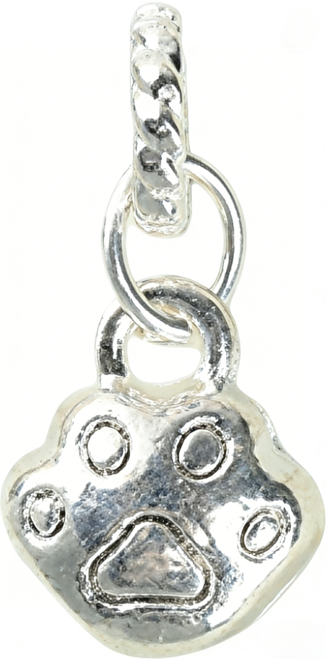 Claw shaped pendant
